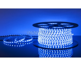 Светодиодная лента LSTR003 220V 14,4W IP65 синий